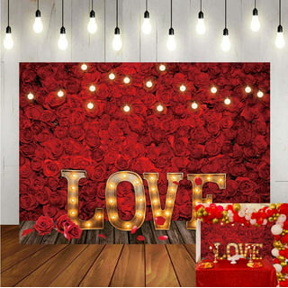 Valentine's Day Love Red Roses Petals 7x5ft Backdrop Vinyl Photo Background  LB