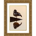 thumbnail image 1 of Day, Richard and Susan 13x18 Gold Ornate Wood Framed with Double Matting Museum Art Print Titled - Wood Duck (Aix sponsa) male on log stretching in wetland at sunrise-Marion County-Illinois, 1 of 4