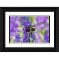 thumbnail image 1 of Day, Richard and Susan 14x11 Black Ornate Wood Framed with Double Matting Museum Art Print Titled - Widow Skimmer-Libellula luctosa-female on Larkspur-Delphinium sp-Marion County-Illinois, 1 of 4