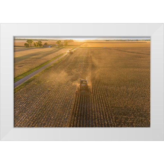 Day, Richard and Susan 14x11 White Modern Wood Framed Museum Art Print Titled - Aerial view of combine harvesting corn field at sunset-Marion County-Illinois