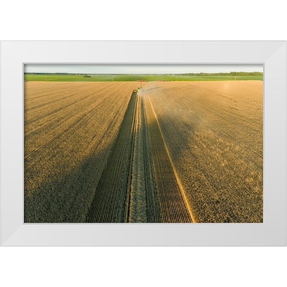 Day, Richard and Susan 14x11 White Modern Wood Framed Museum Art Print Titled - Aerial view of combine harvesting wheat at sunset-Marion County-Illinois