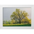 thumbnail image 1 of Day, Richard and Susan 14x11 White Modern Wood Framed Museum Art Print Titled - Sunrise in Cades Cove in spring-Great Smoky Mountains National Park-Tennessee, 1 of 4