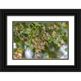 thumbnail image 1 of Day, Richard and Susan 18x13 Black Ornate Wood Framed with Double Matting Museum Art Print Titled - Monarchs gathering to roost in tree during migration south, 1 of 4