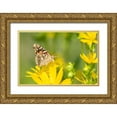 thumbnail image 1 of Day, Richard and Susan 18x13 Gold Ornate Wood Framed with Double Matting Museum Art Print Titled - Painted Lady-Vanessa cardui-on Cup Plant-Silphium perfoliatum-Marion County-Illinois, 1 of 4