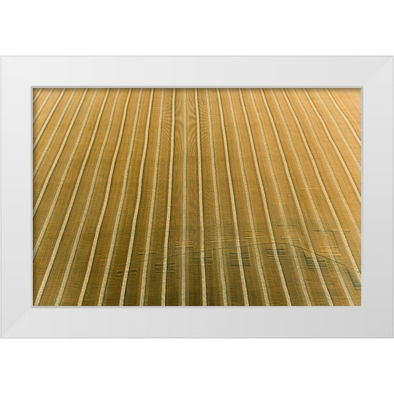 Day, Richard and Susan 18x13 White Modern Wood Framed Museum Art Print Titled - Aerial view of rows of wheat straw before baling-Marion County-Illinois
