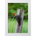 thumbnail image 1 of Day, Richard and Susan 23x32 White Modern Wood Framed Museum Art Print Titled - Pileated Woodpecker (Dryocopus pileatus)-Great Smoky Mountains National Park-Tennessee, 1 of 4