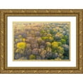 thumbnail image 1 of Day, Richard and Susan 24x17 Gold Ornate Wood Framed with Double Matting Museum Art Print Titled - Newly emerging leaves on trees in the spring-Marion County-Illinois, 1 of 4