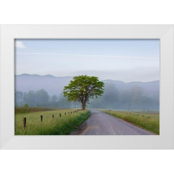 Day, Richard and Susan 24x17 White Modern Wood Framed Museum Art Print Titled - Hyatt Lane in fog Cades Cove Great Smoky Mountains National Park-Tennessee