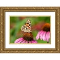 thumbnail image 1 of Day, Richard and Susan 32x23 Gold Ornate Wood Framed with Double Matting Museum Art Print Titled - Painted Lady (Vanessa cardui) on Purple Coneflower -Marion County-Illinois, 1 of 4