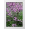 thumbnail image 1 of Day, Richard and Susan 11x14 White Modern Wood Framed Museum Art Print Titled - Redbud trees blooms in spring-Marion County-Illinois, 1 of 4