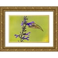 thumbnail image 1 of Day, Richard and Susan 14x11 Gold Ornate Wood Framed with Double Matting Museum Art Print Titled - Ruby-throated hummingbird at black and blue salvia, 1 of 4