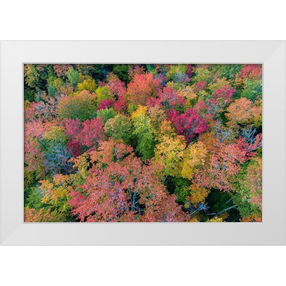 Day, Richard and Susan 14x11 White Modern Wood Framed Museum Art Print Titled - Aerial view of Hugoboom Lake in fall color-Alger County-Michigan