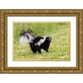 thumbnail image 1 of Day, Richard and Susan 18x13 Gold Ornate Wood Framed with Double Matting Museum Art Print Titled - Striped skunk digging for food, 1 of 4
