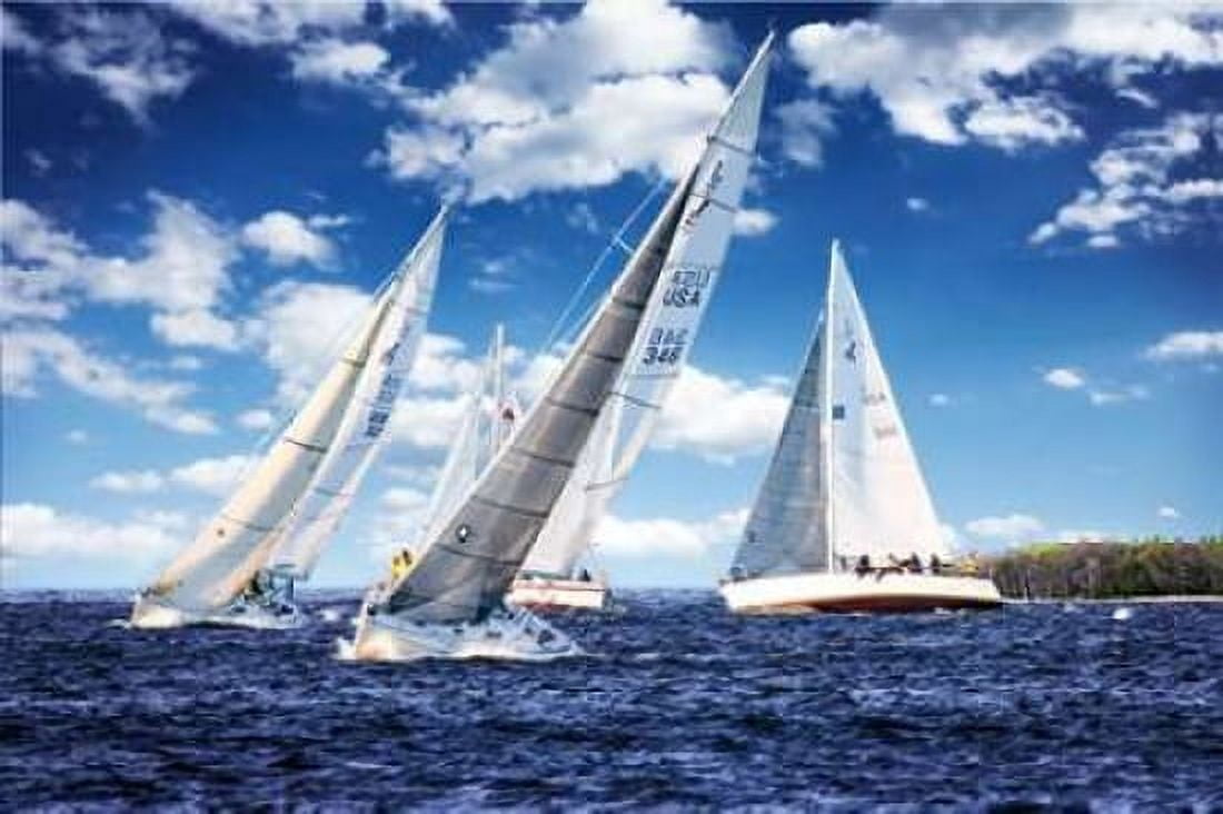 Day Sailing II Canvas Art - Alan Hausenflock (20 x 28)