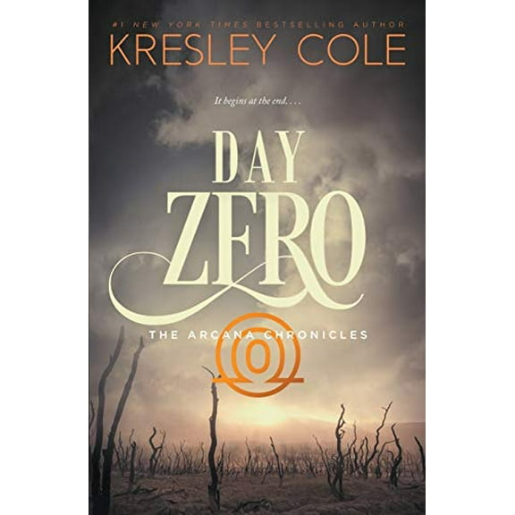 Pre-Owned Day Zero (Paperback) 0997215127 9780997215120