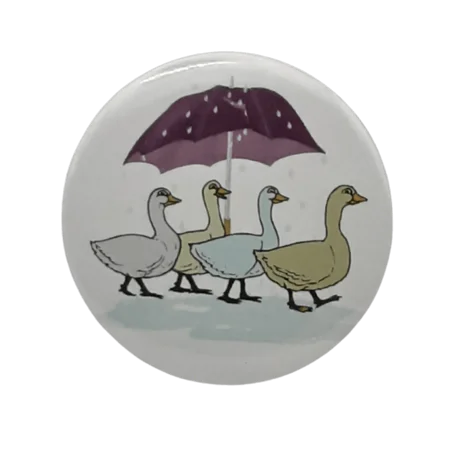 Day for Ducks