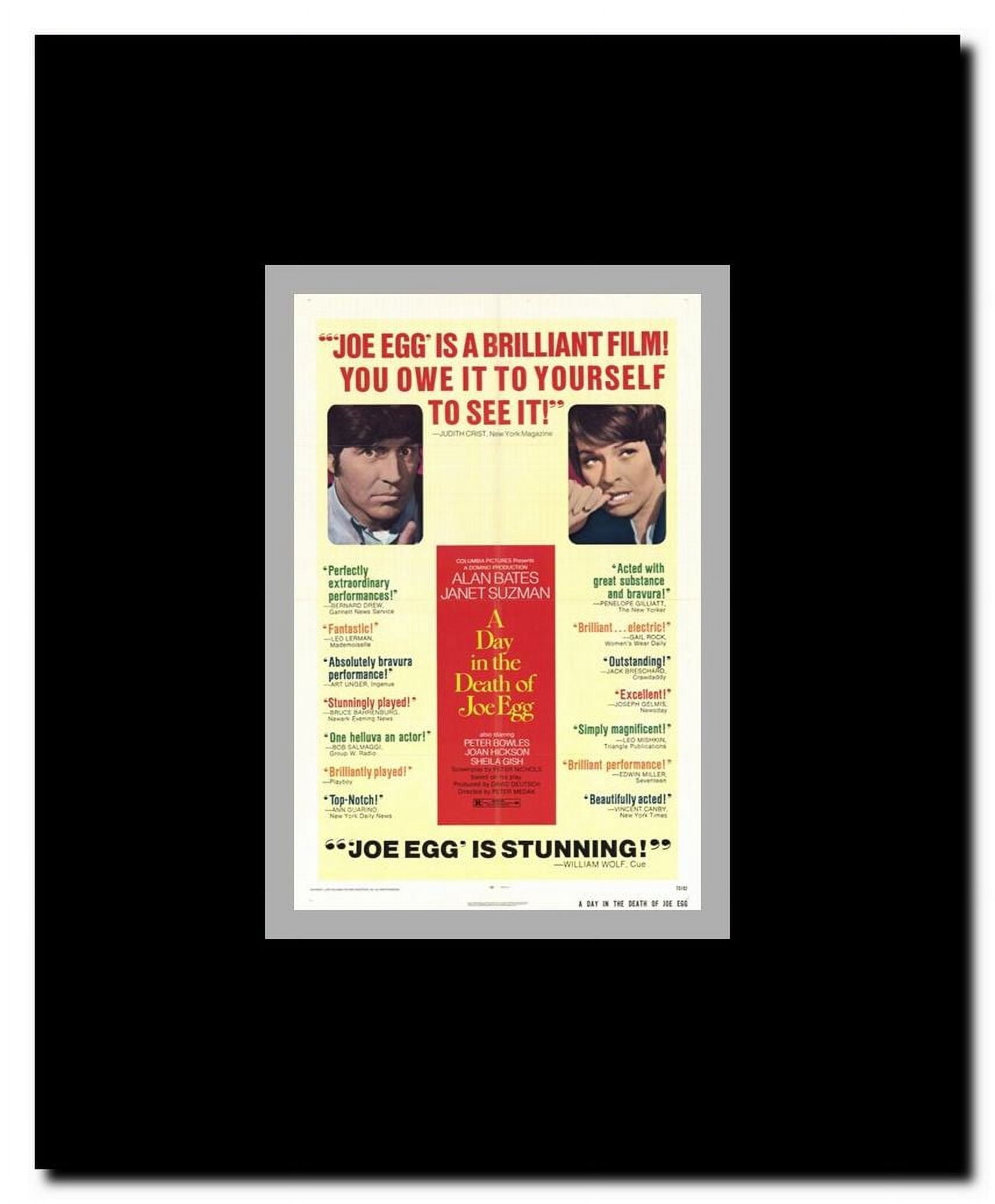 Day in the Death of Joe Egg Framed Movie Poster