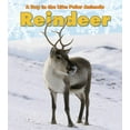 thumbnail image 1 of Day in the Life: Polar Animals Reindeer, (Paperback), 1 of 1