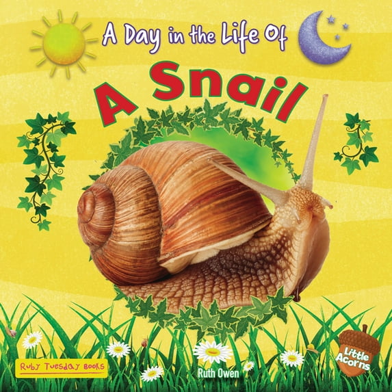 A Day in the Life of (Little Acorns) A Snail, (Hardcover)