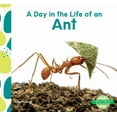 thumbnail image 1 of Day in the Life of an Animal Day in the Life of an Ant, (Hardcover), 1 of 1