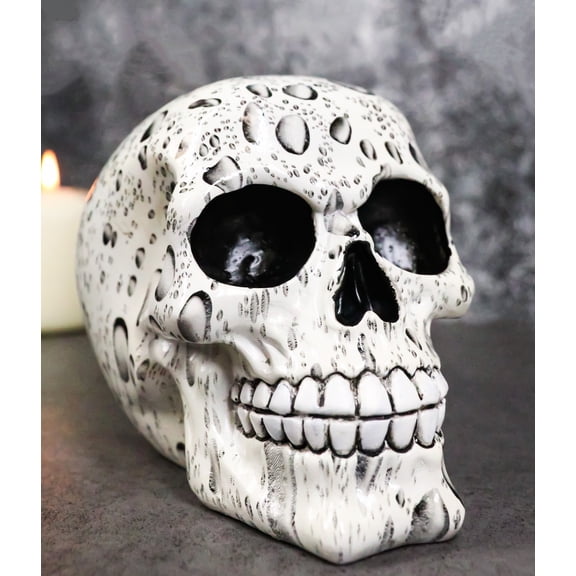 Day of The Dead Raindrops Water Droplets Scene Gothic Skull Figurine Skeleton
