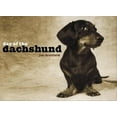 thumbnail image 1 of Pre-Owned Day of the Dachshund (Hardcover) 1400048710 9781400048717, 1 of 1