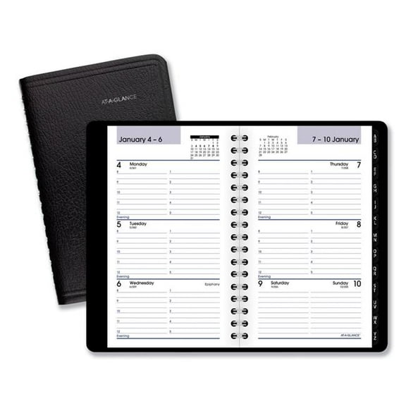 DayMinder 2017 Weekly Pocket Planner - G25000