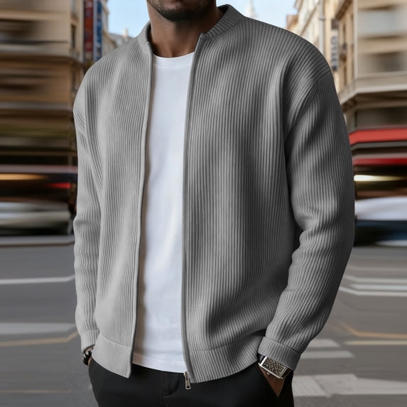DayScoop Mens Fashion Jackets Winter Outerwear Casual Long Sleeve Solid Color Hoodless Zipper Cardigan Outer Tops