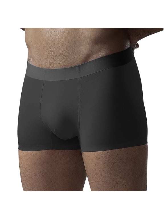 Mens Multi Color Ice Silk Boxer Briefs, Seamless Smooth Underwear for Adult Men, Multipack Boxer Briefs, Non Ride Up Underpants for Daily Wear