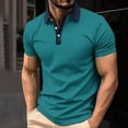 thumbnail image 1 of DayScoop Plus Size T-Shirt for Men Solid Color T Shirt Summer Short Sleeve Casual Fashion Buttons Striped Dry Sporty Breathable Turndown Collar Tops, 1 of 5