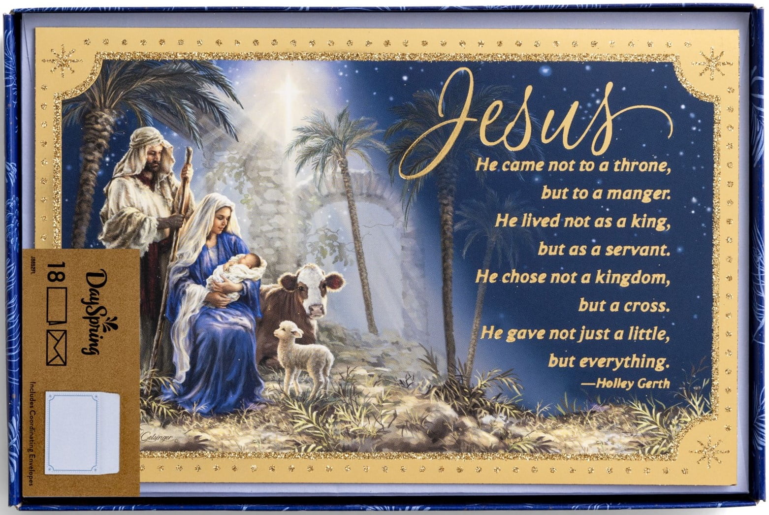 DaySpring - Dona Gelsinger - Jesus Nativity - 18 Christmas Boxed Cards & Light Blue Envelopes, NIV