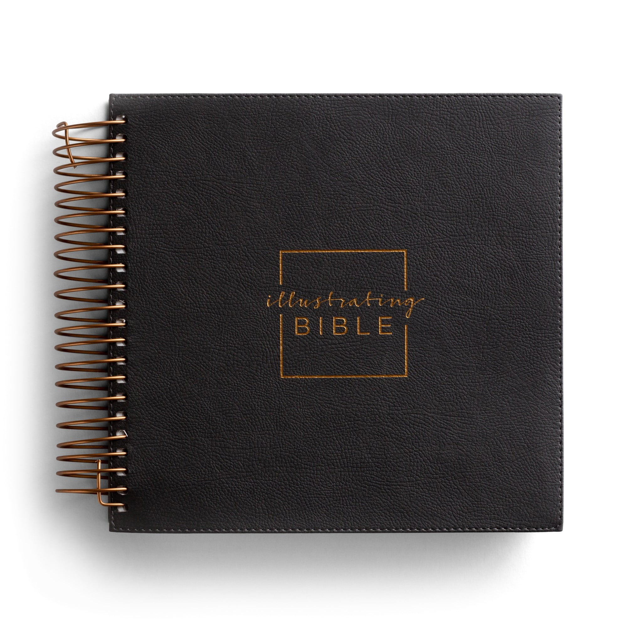 DaySpring - Illustrating Bible NIV Dark Gray (Spiral Bound)