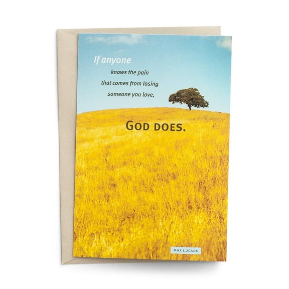 DaySpring Max Lucado God Knows Your Pain Premium Sympathy Cards with Envelopes, 6 Count