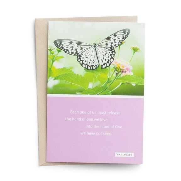 DaySpring Max Lucado Tender Comfort Premium Sympathy Cards, 6 Count
