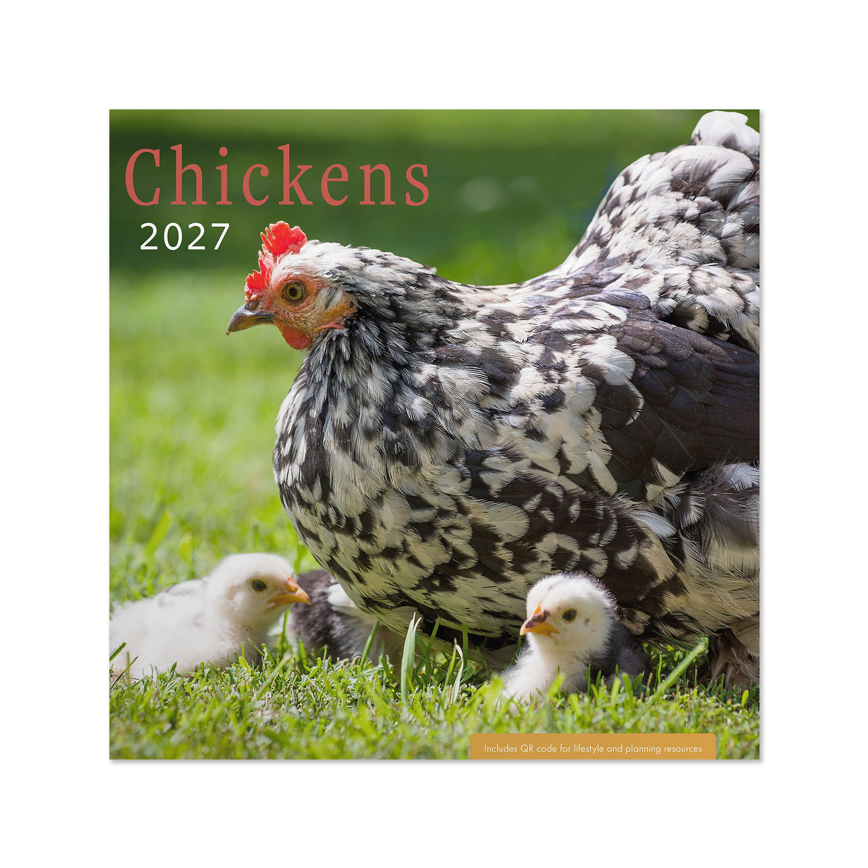2027 Chickens Wall Calendar 12x12 January-December Gridded