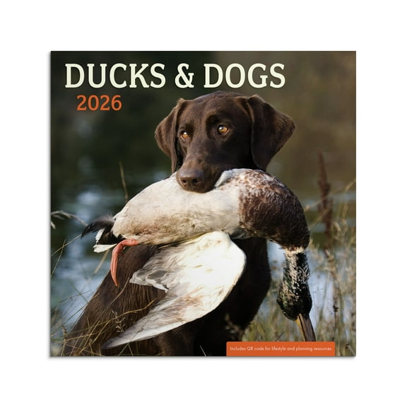 DaySpring Monthly Calendar (12"x12") Ducks & Dogs 12 Month Jan 2026-Dec 2026