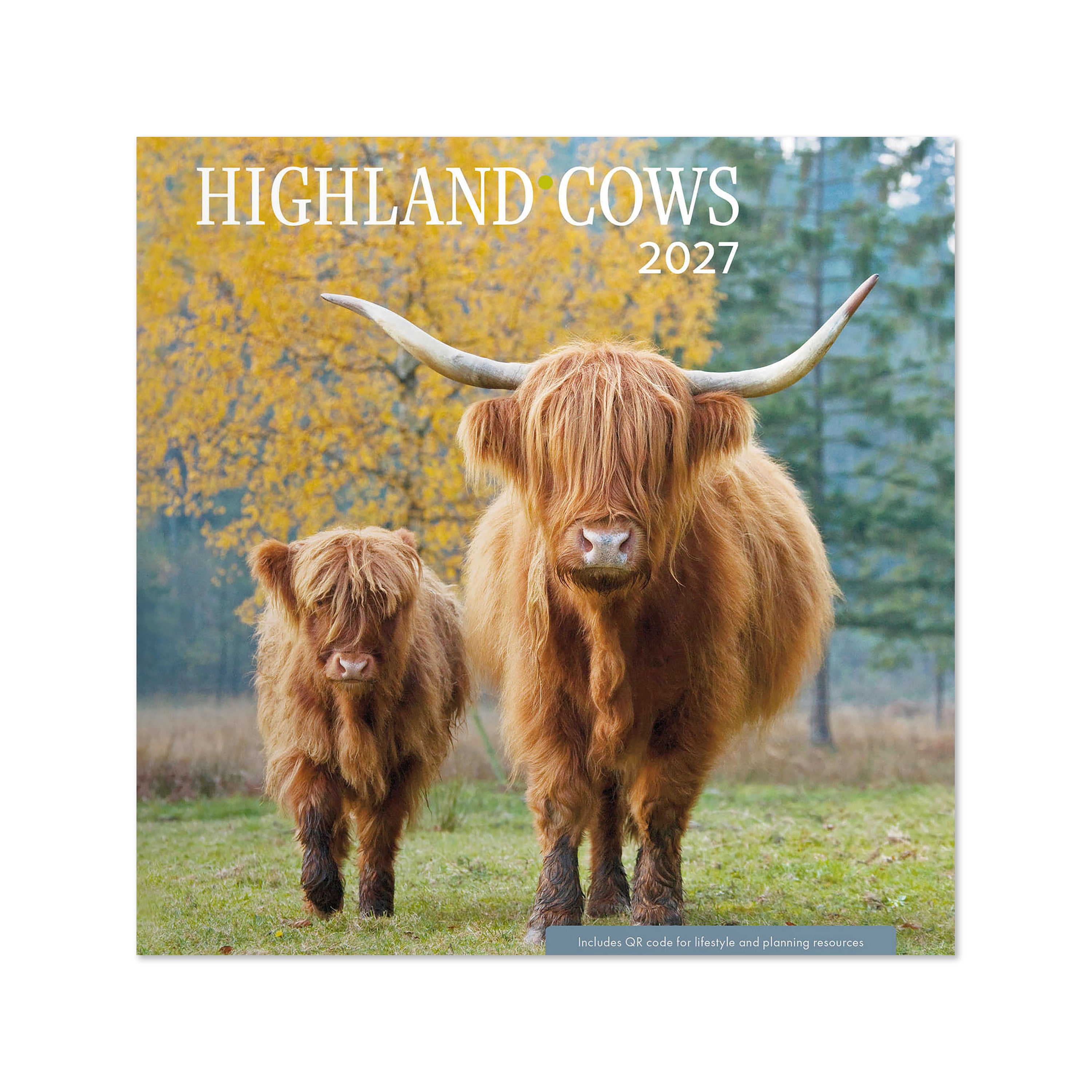 2027 Highland Cows Mini Hanging Wall Calendar 7x7 January-December Gridded