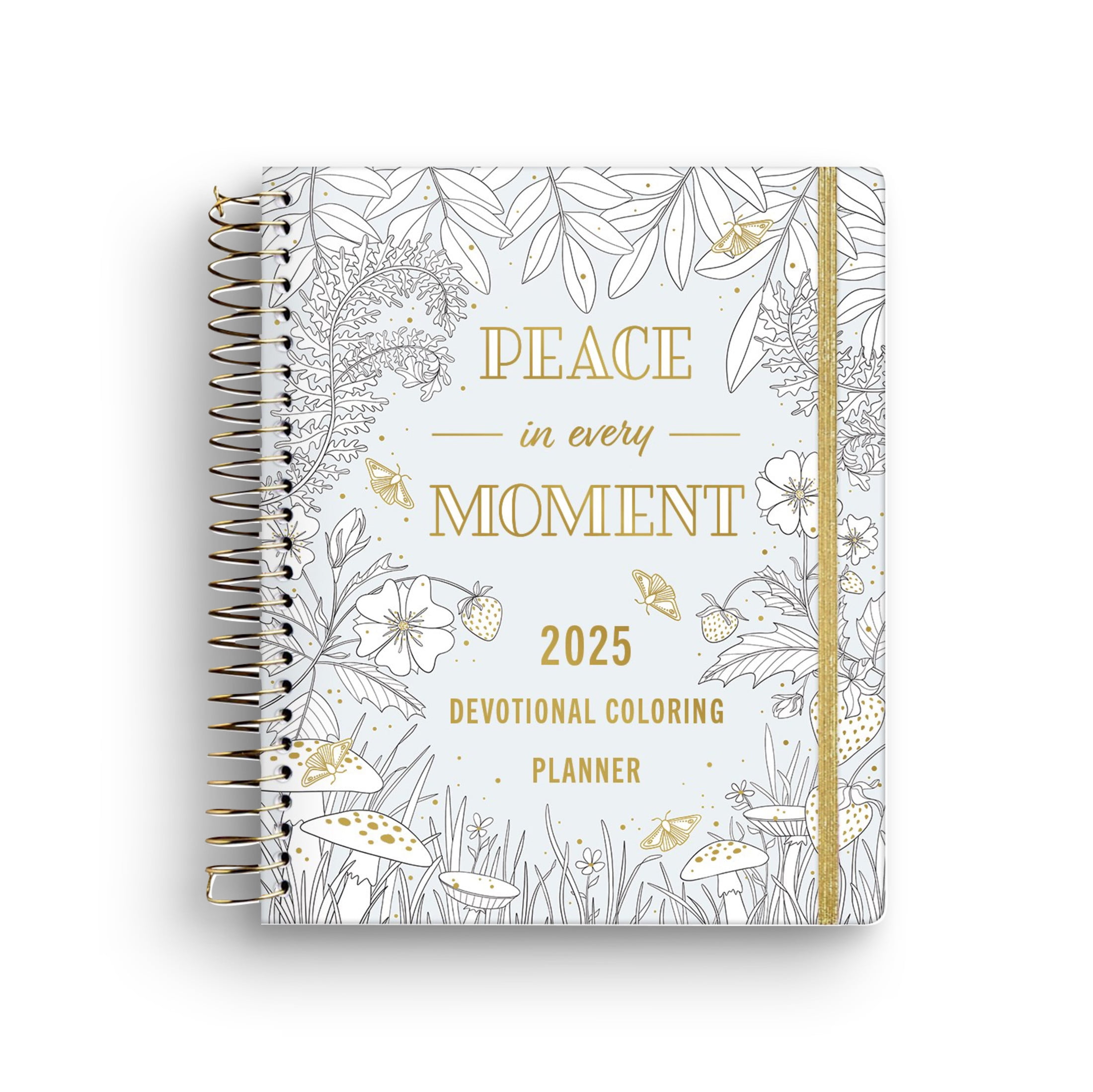 DaySpring Peace in Every Moment 2024 2025 18Monthy Devotional