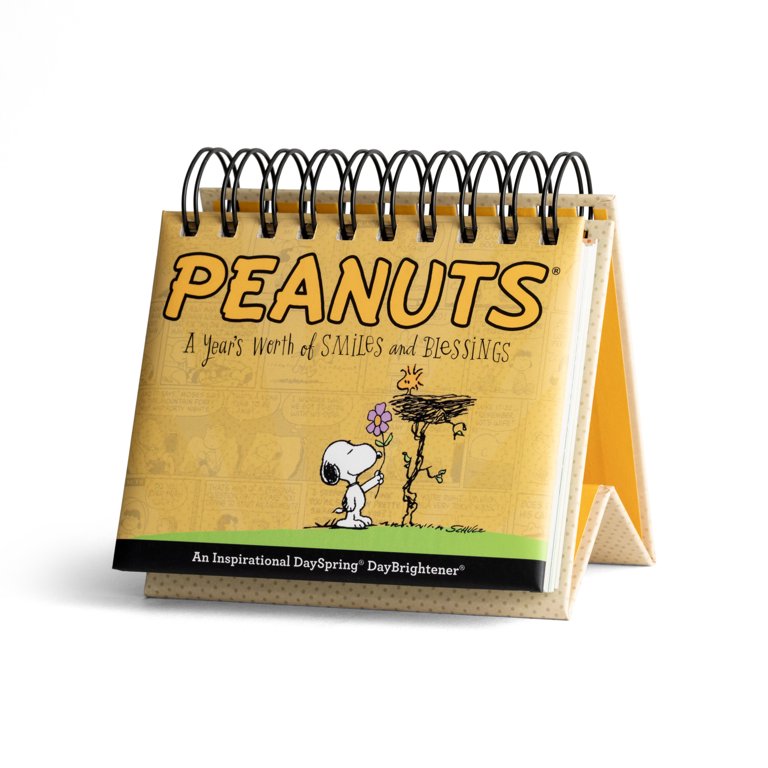 DaySpring - Peanuts: A Year's Worth of Smiles and Blessings - An  Inspirational DaySpring DayBrightener - Perpetual Calendar - Walmart.com