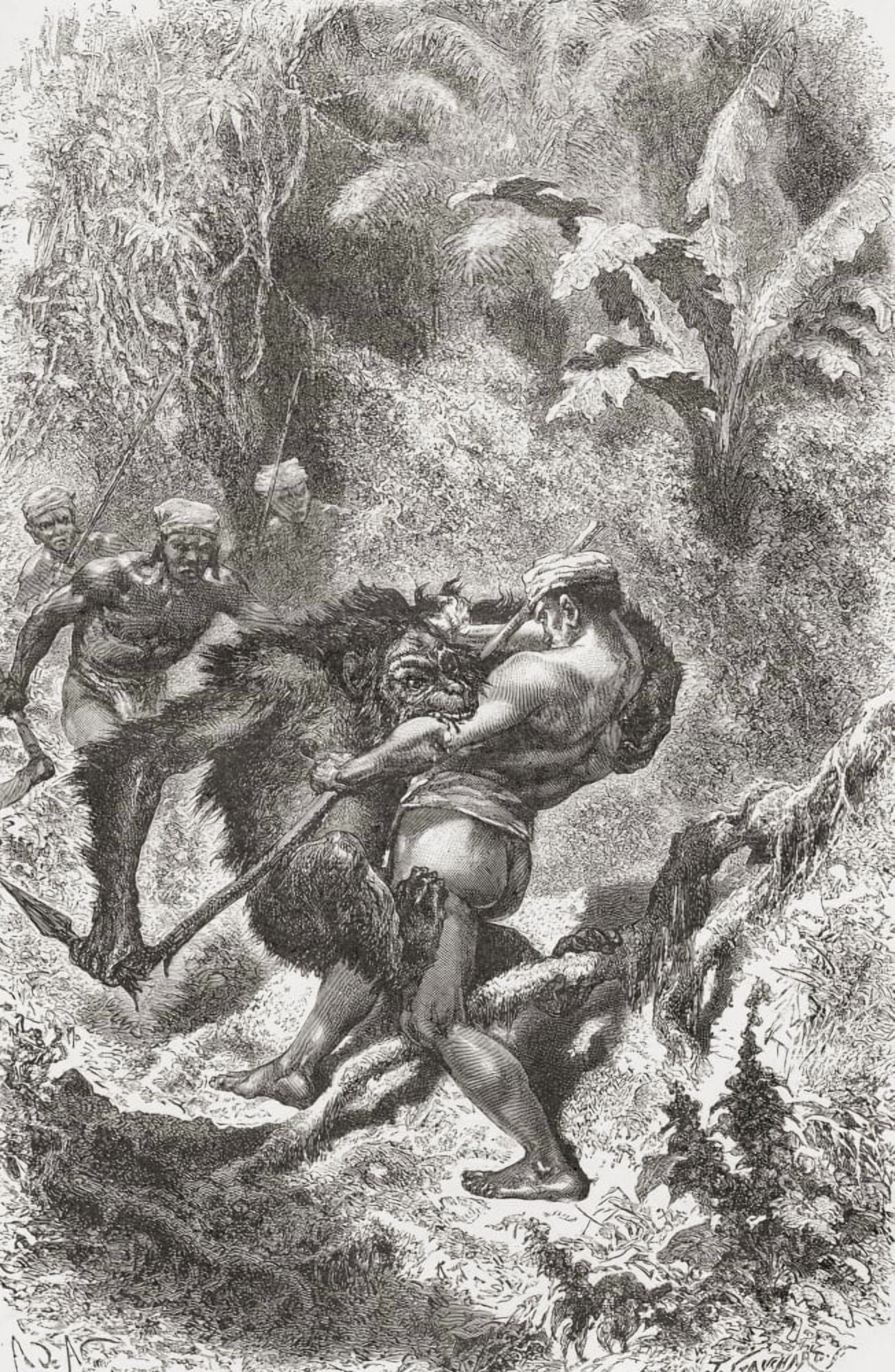 A Dayak Native From Borneo Fighting With An Orangutan In The 19Th Century From El Mundo En La Mano Published 1878 Canvas Art - Ken Welsh Design Pics (11 x 18)