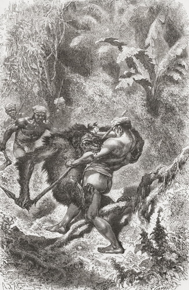 A Dayak Native From Borneo Fighting With An Orangutan In The 19Th Century From El Mundo En La Mano Published 1878 Canvas Art - Ken Welsh Design Pics (22 x 36)