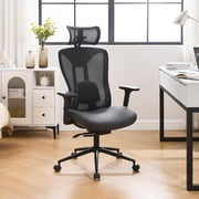 Dayalane Ergonomic Office Chair, High Back Mesh Desk Chair with Lumbar Support Slide Seat, SGS Certified Gas Cylinder, 300LB Capacity for Executive, Gaming and Tall Users, Black