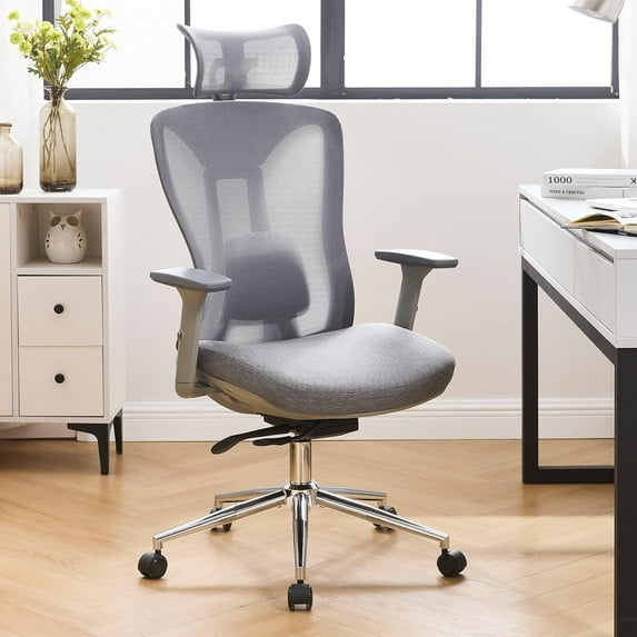 Dayalane Ergonomic Office Chair, High Back Mesh Desk Chair with Lumbar Support Slide Seat, SGS Certified Gas Cylinder, 300LB Capacity for Executive, Gaming and Tall Users, Grey