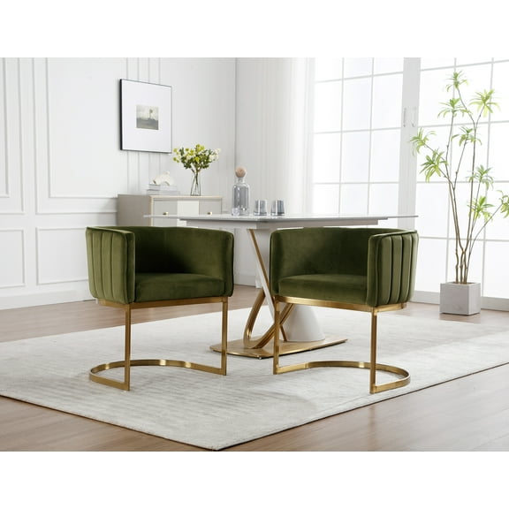 Dayalane Modern Barrel Dining Chairs Set of 2, Velvet Upholstered Kitchen snd Dining Room Side Chairs, Comfy Armchair with Metal Frame for Dining Room Living Room Bedroom Cafe, Green