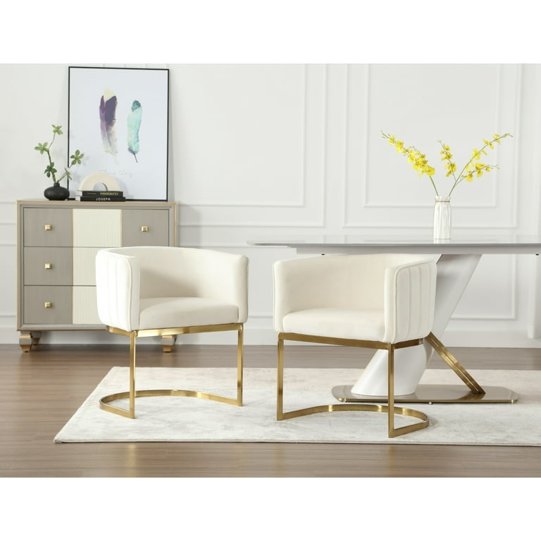 Dayalane Modern Barrel Dining Chairs Set of 2, Velvet Upholstered