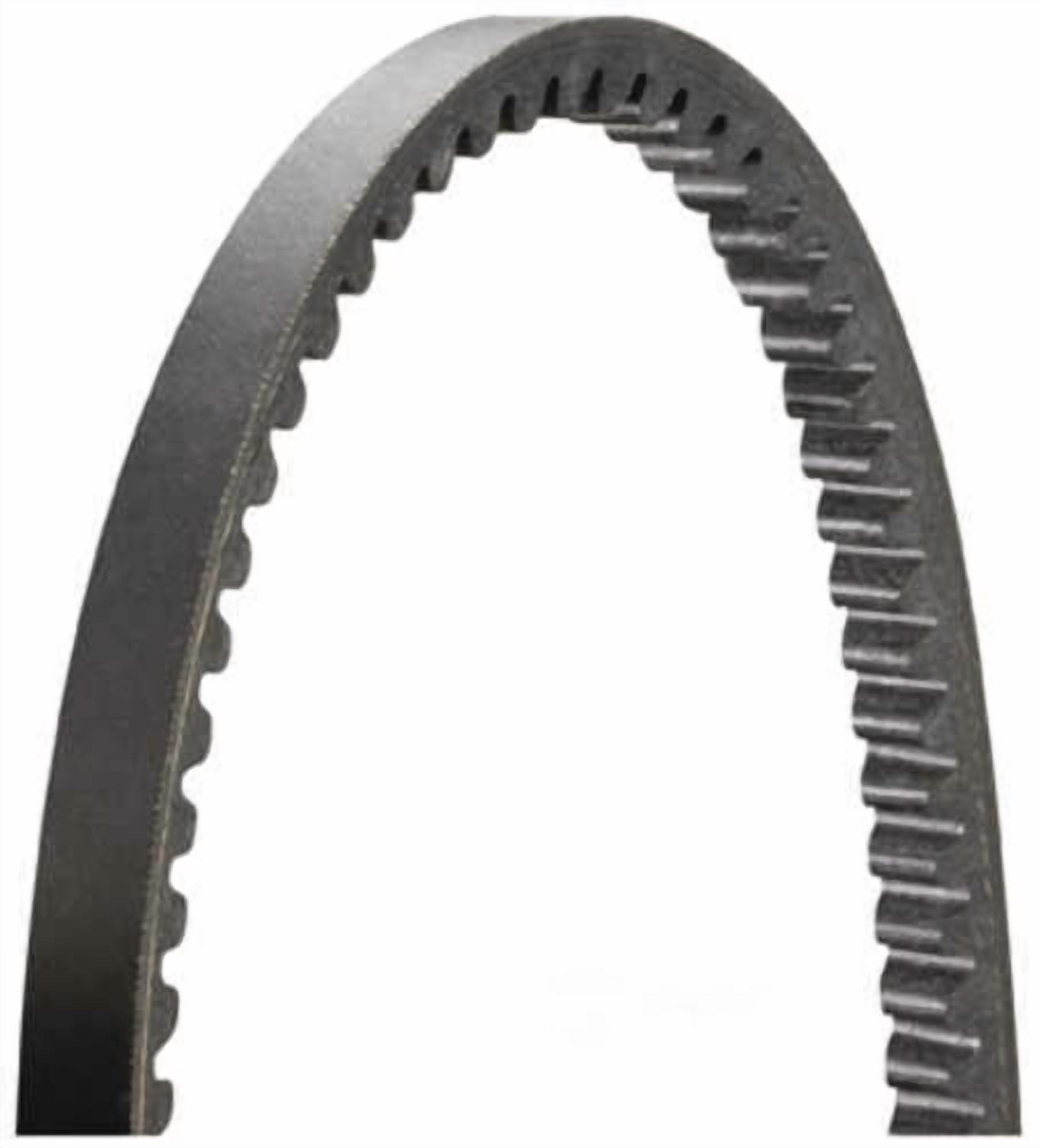 Dayco 10V0545 Accessory Drive Belt