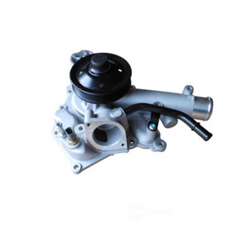 Dayco DP2165 Engine Water Pump
