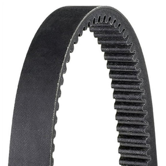Dayco - HP High Performance Drive Belt