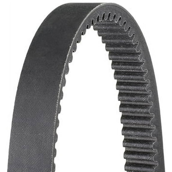 Dayco HP2004 - Auto Continuously Variable Trans Belt