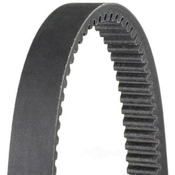 Dayco HP3009 High Performance Drive Belts